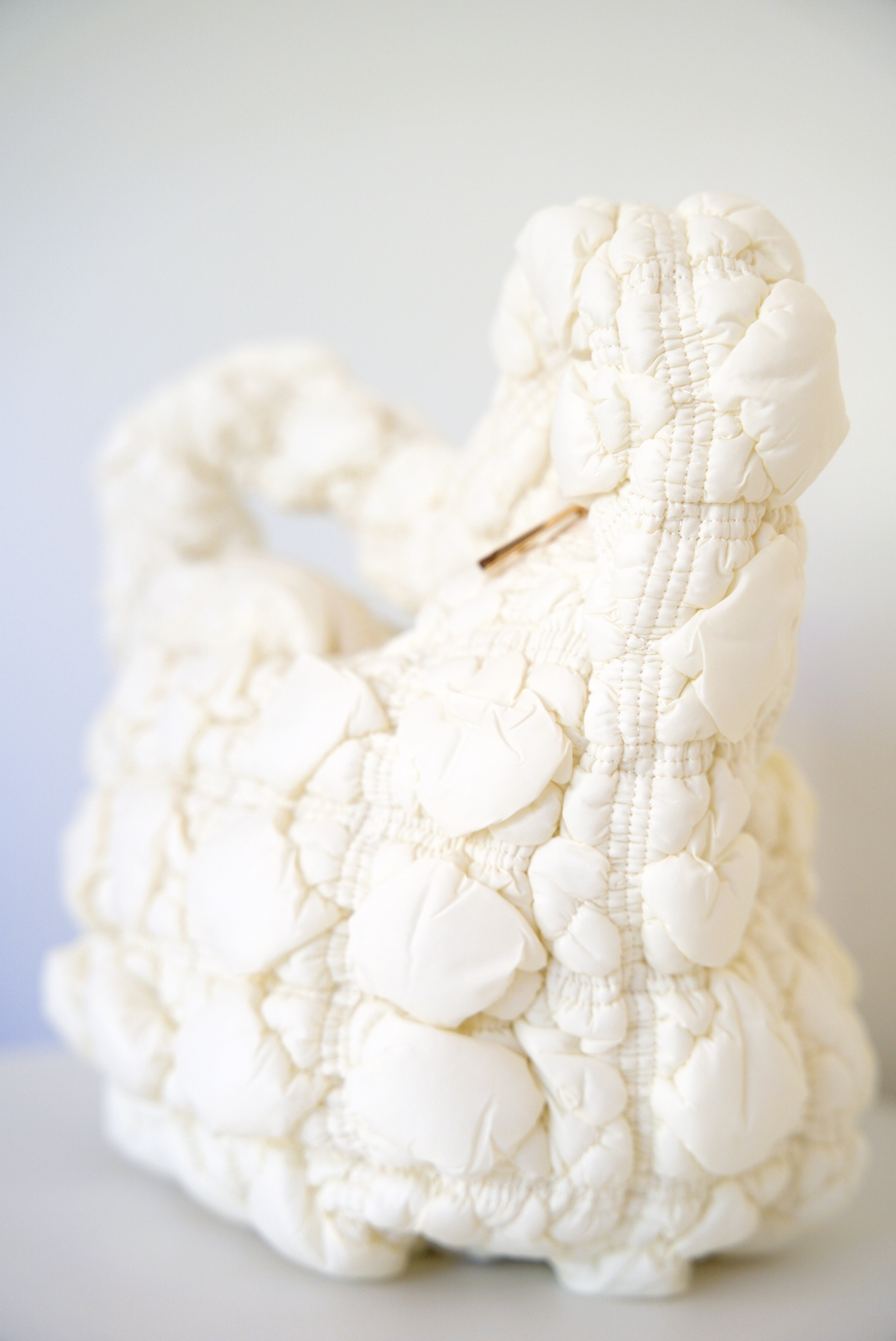 Padded Cloud Bag