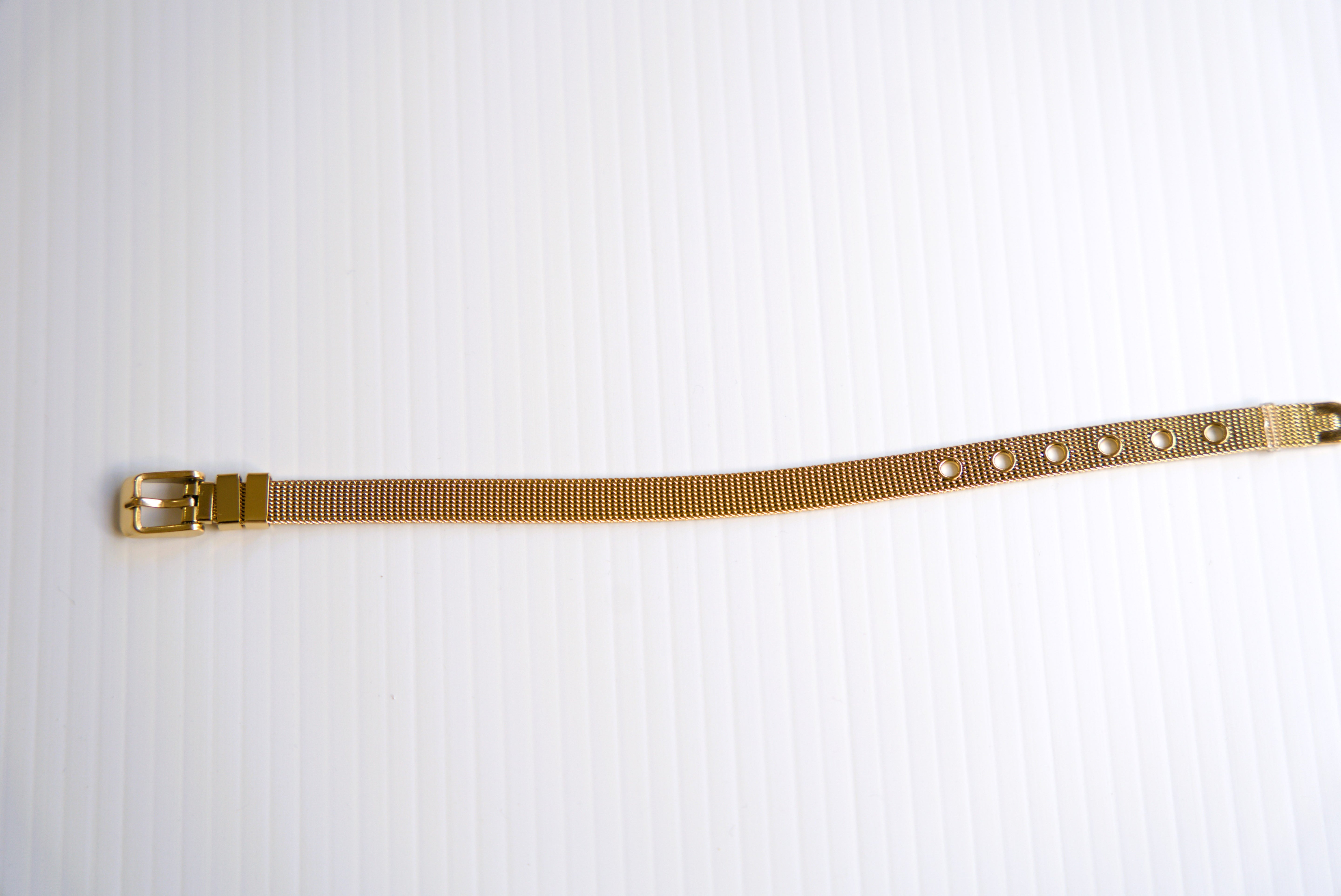 Luxe Mesh Buckle Bracelet