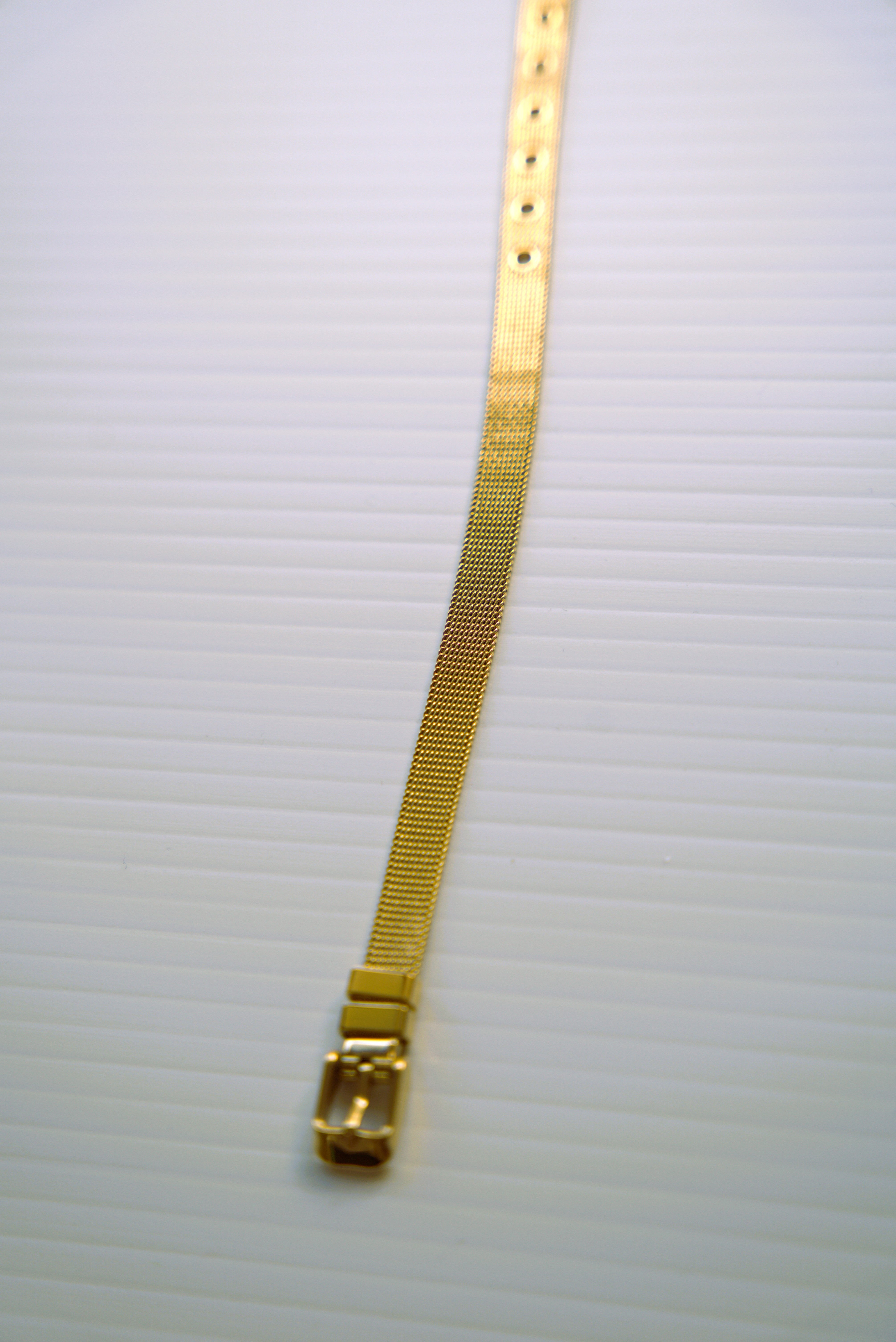 Luxe Mesh Buckle Bracelet