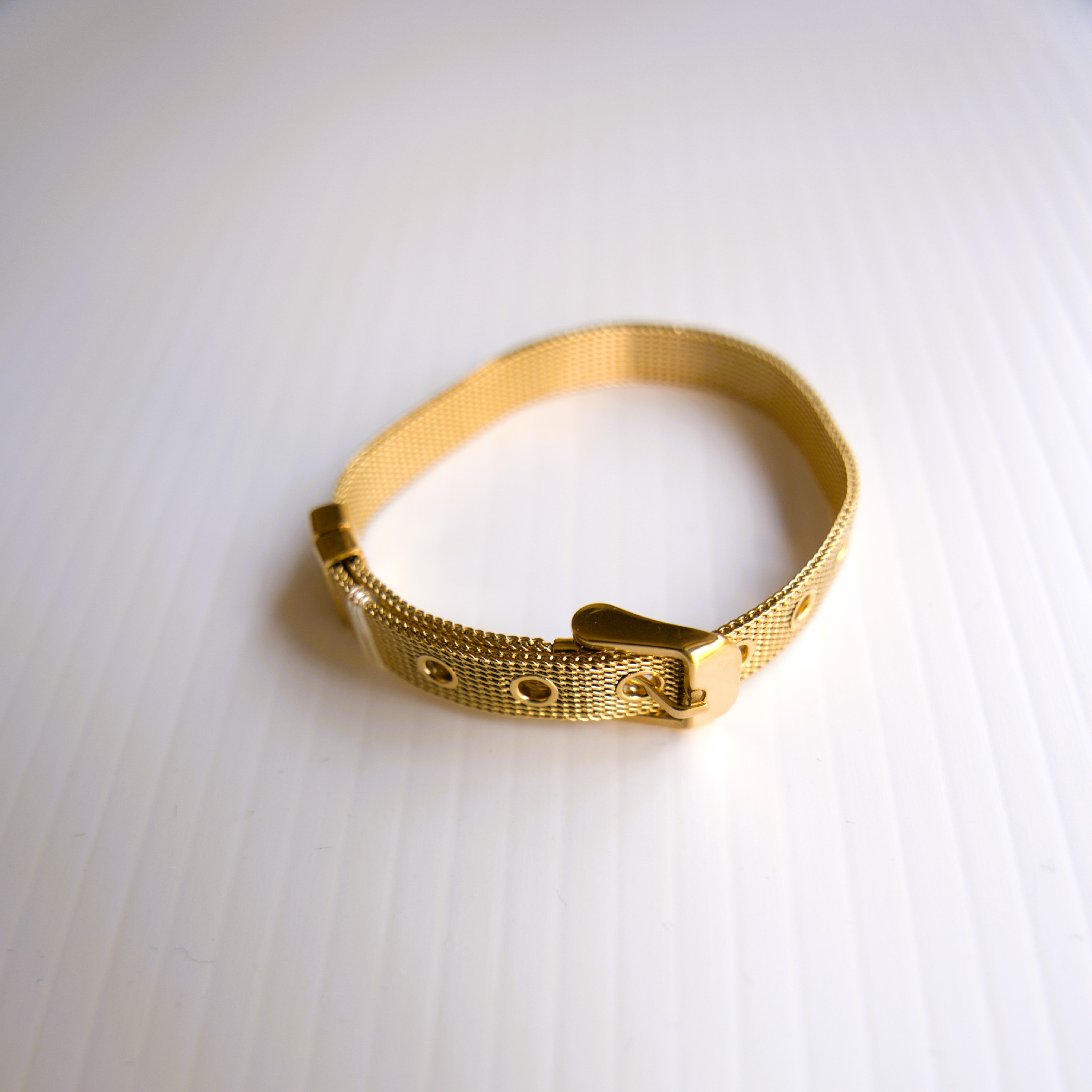 Luxe Mesh Buckle Bracelet