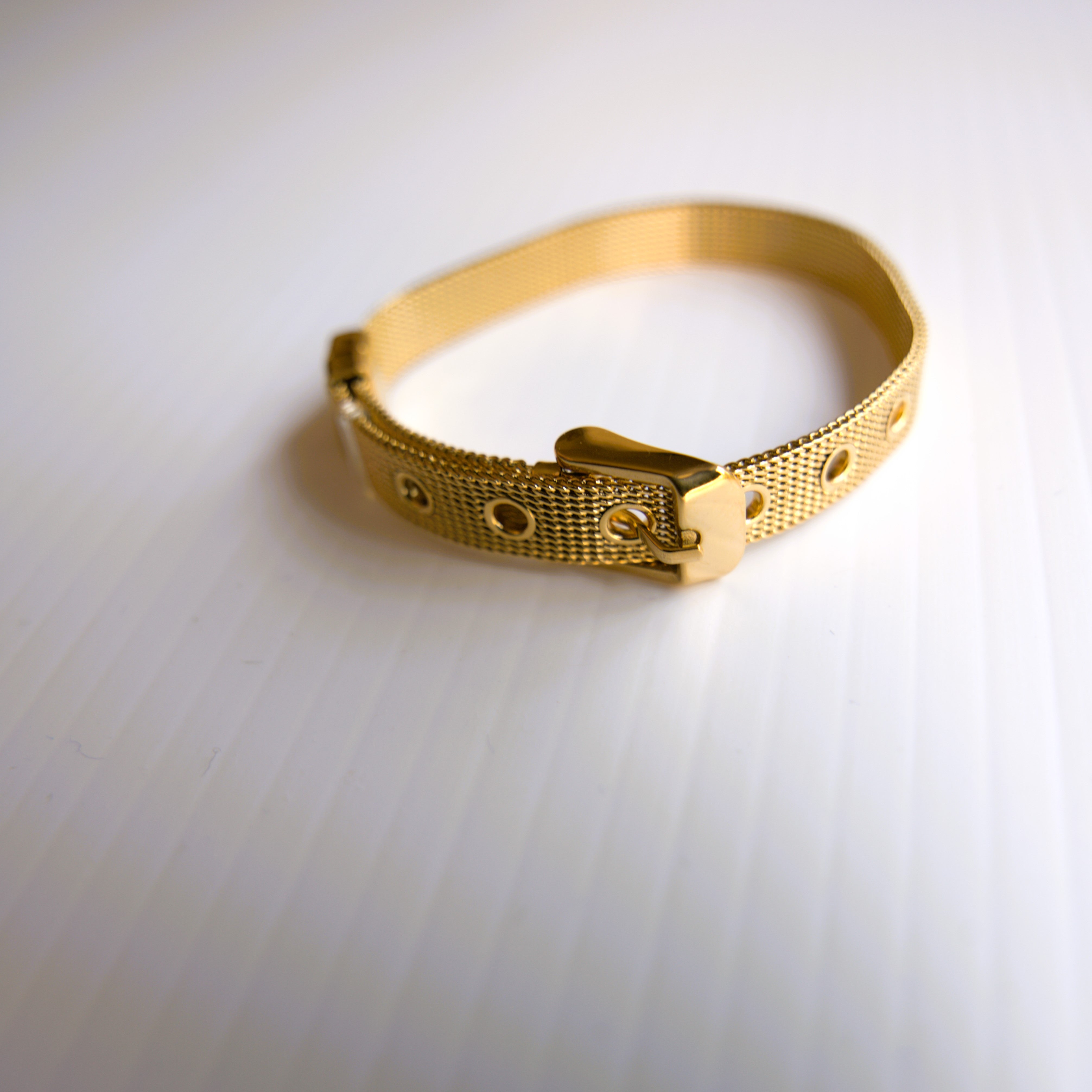 Luxe Mesh Buckle Bracelet