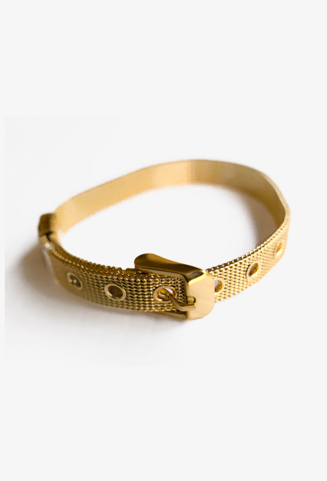 Luxe Mesh Buckle Bracelet